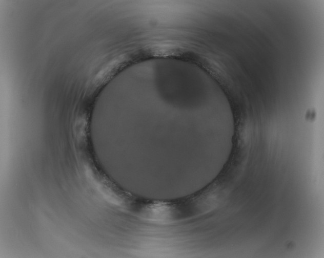 X0000112530219200909141255