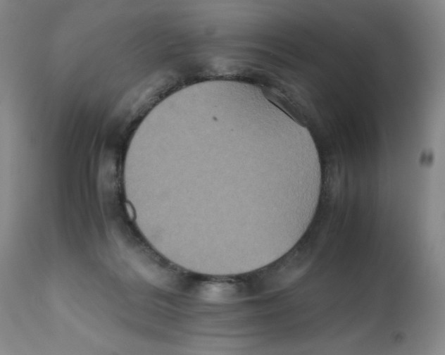 X0000112530220200909141255