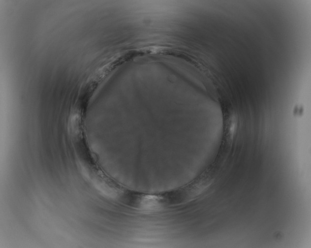 X0000112530222200909141255