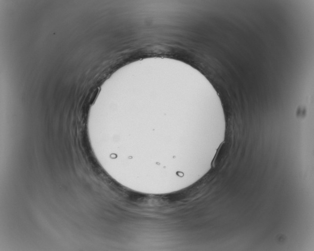 X0000112530223200909141255