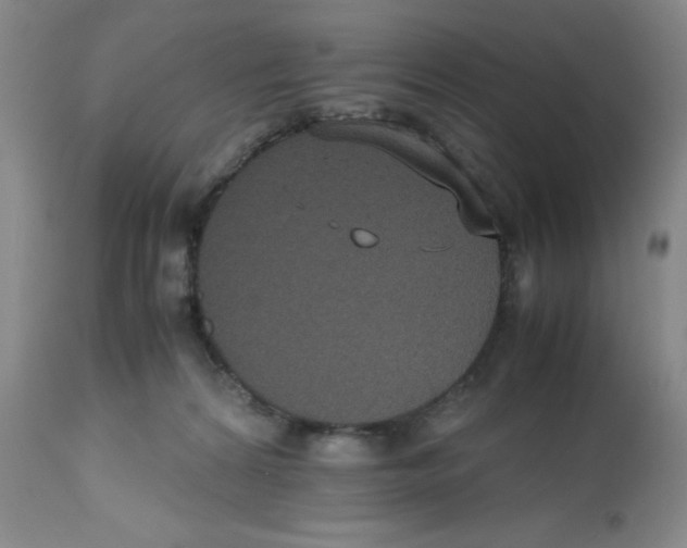 X0000112530224200909141255