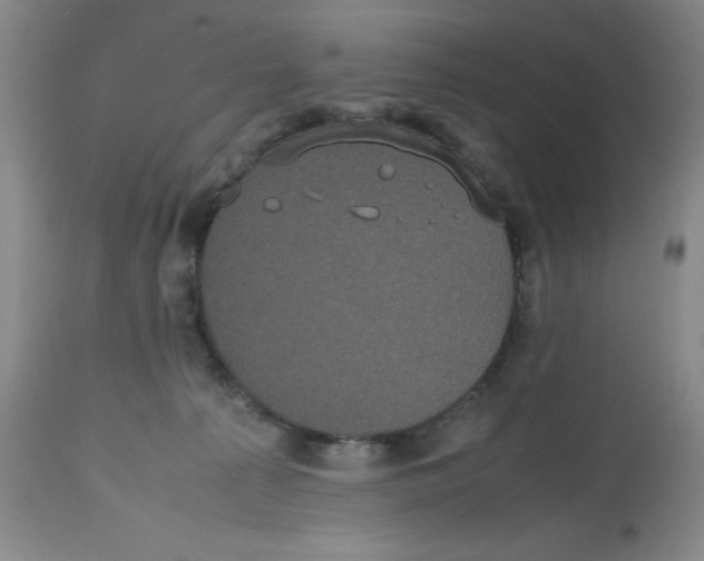 X0000112530225200909141255