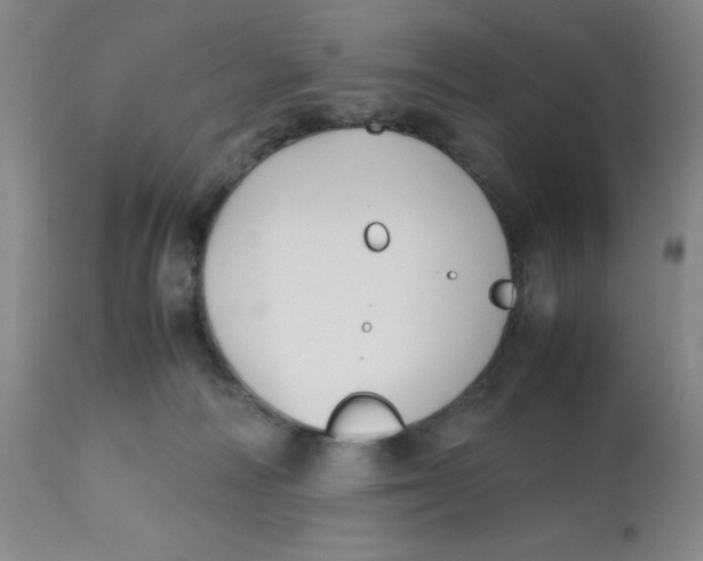 X0000112530226200909141255