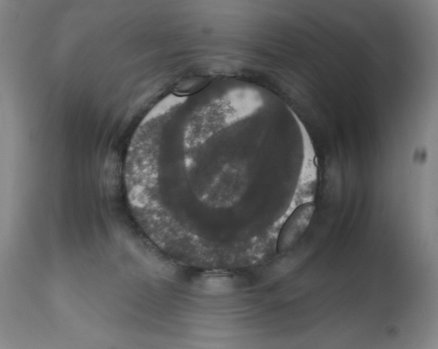 X0000112530228200909141255