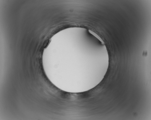 X0000112530229200909141255