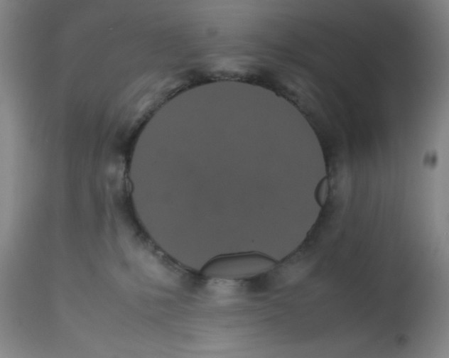 X0000112530231200909141255