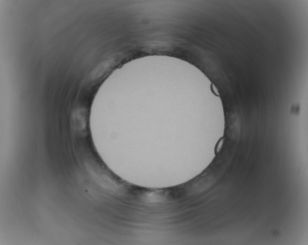 X0000112530232200909141254