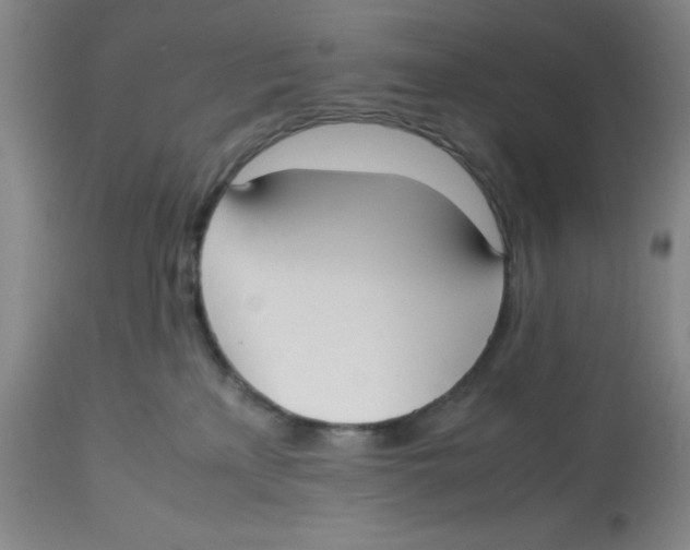 X0000112530233200909141254