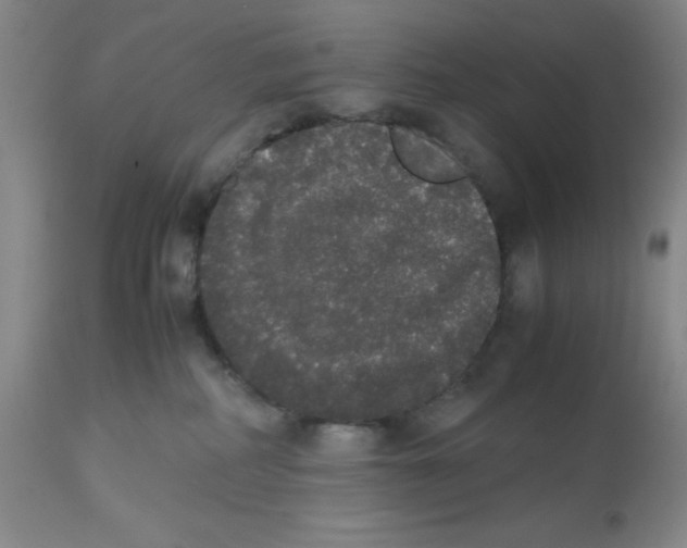 X0000112530234200909141254