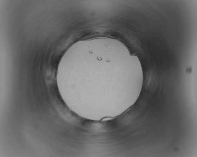 X0000112530236200909141254