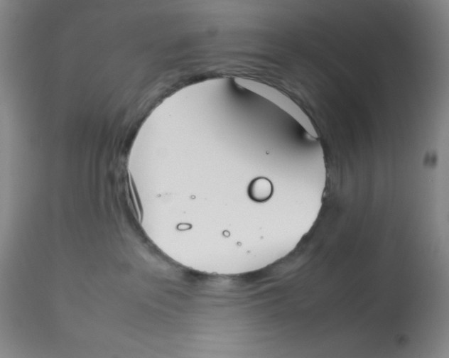 X0000112530237200909141254