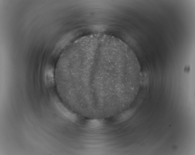 X0000112530238200909141254