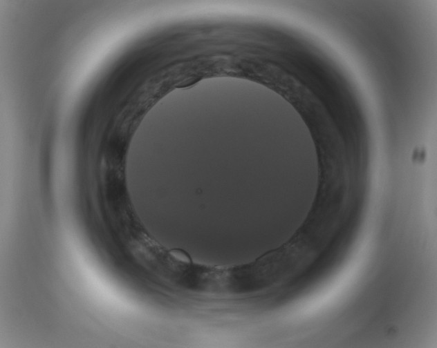 X0000112530239200909141254