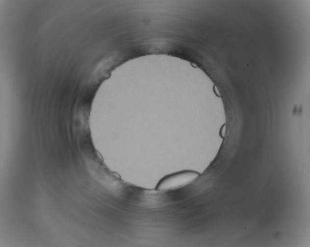 X0000112530240200909141254