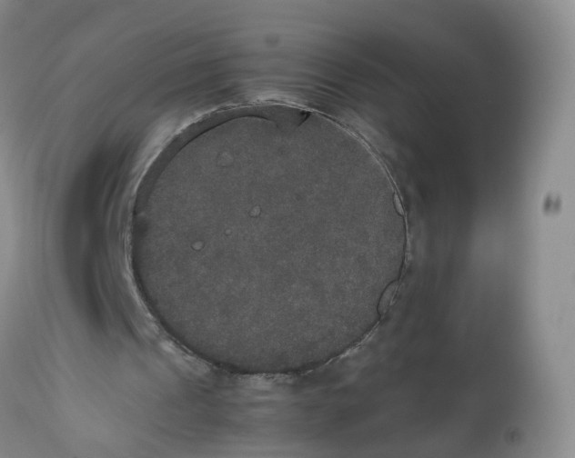 X0000112530241200909141254