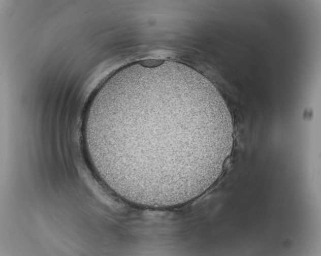 X0000112530242200909141254