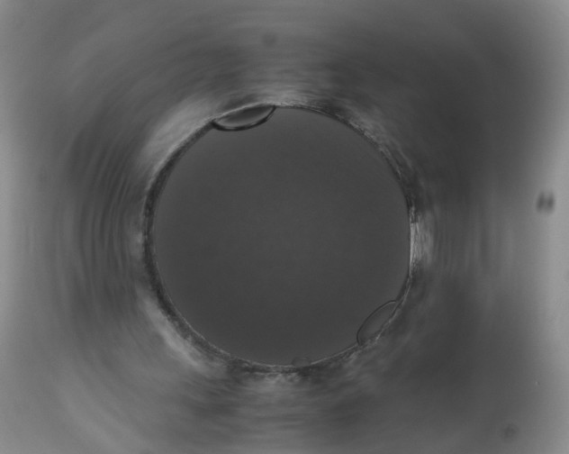 X0000112530243200909141254