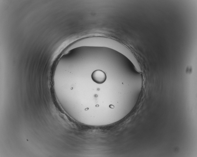 X0000112530244200909141254