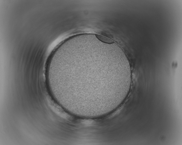 X0000112530246200909141254