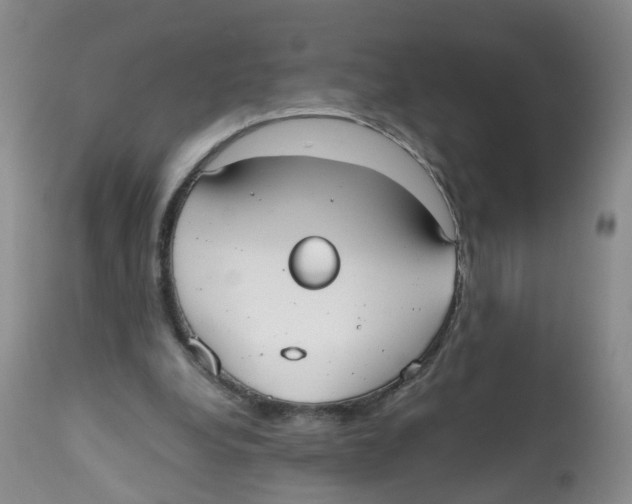 X0000112530248200909141254