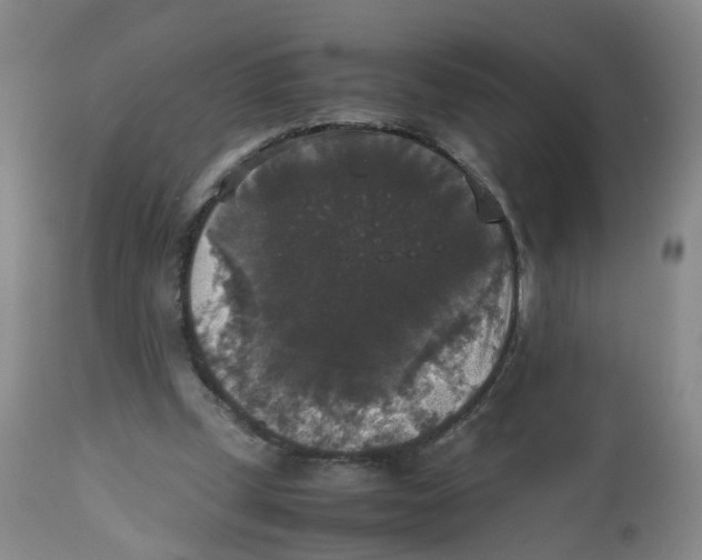 X0000112530249200909141254