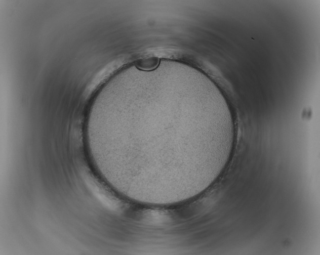 X0000112530250200909141254