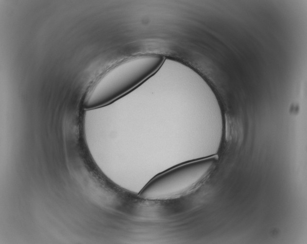 X0000112530252200909141254