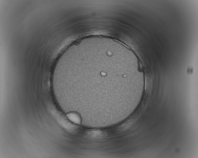 X0000112530253200909141254