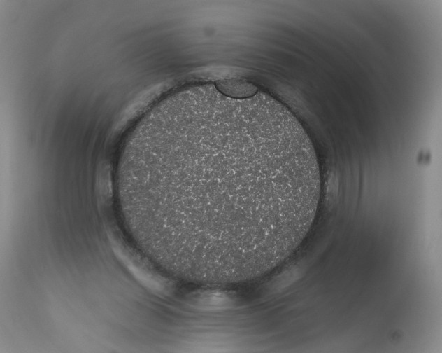 X0000112530254200909141254