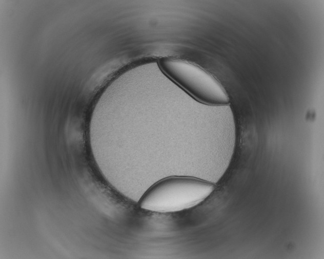 X0000112530256200909141254