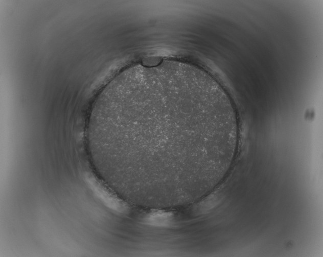 X0000112530257200909141254