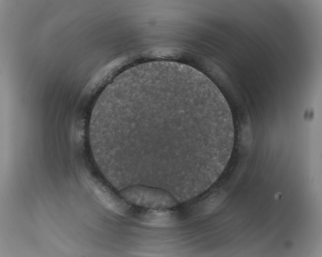 X0000112530260200909141254