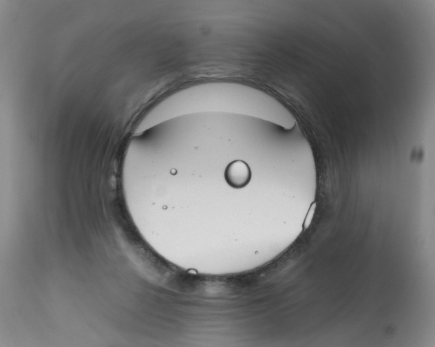 X0000112530264200909141254