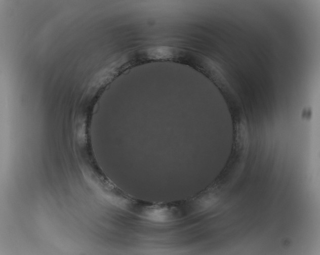 X0000112530267200909141254