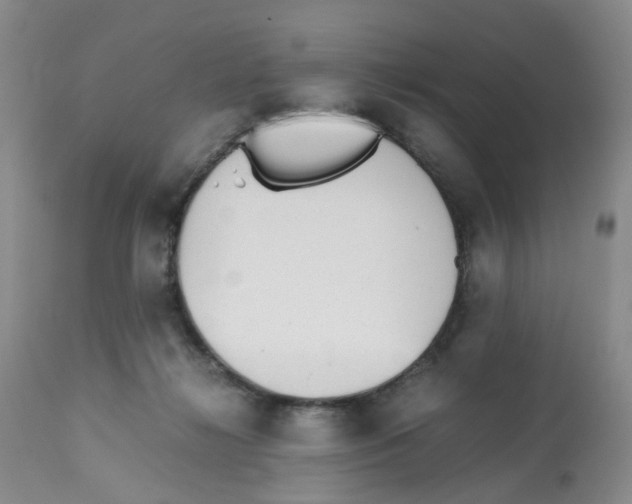 X0000112530268200909141254