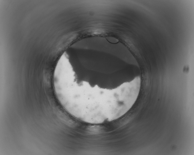 X0000112530269200909141254