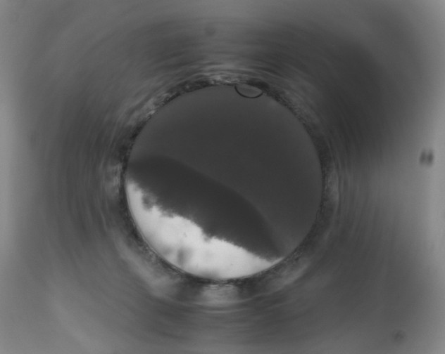 X0000112530271200909141254