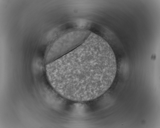 X0000112530272200909141254