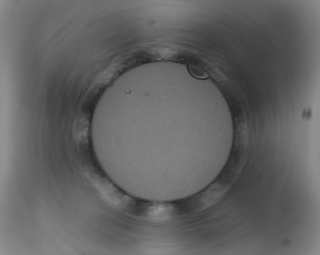 X0000112530274200909141254