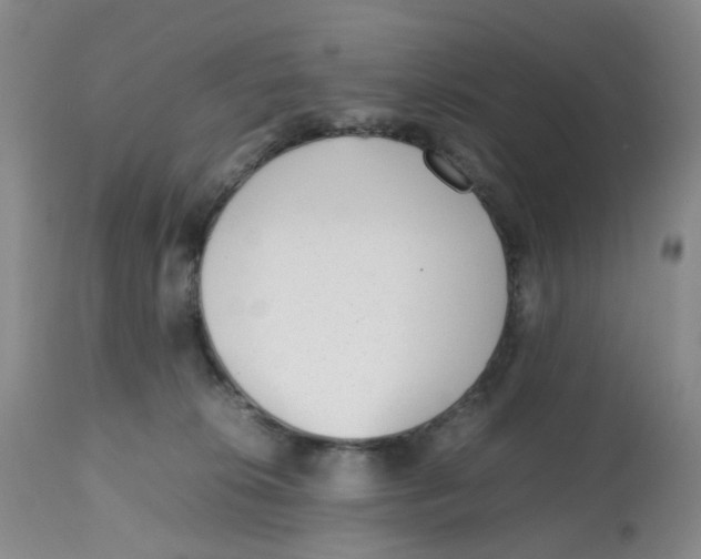 X0000112530276200909141254