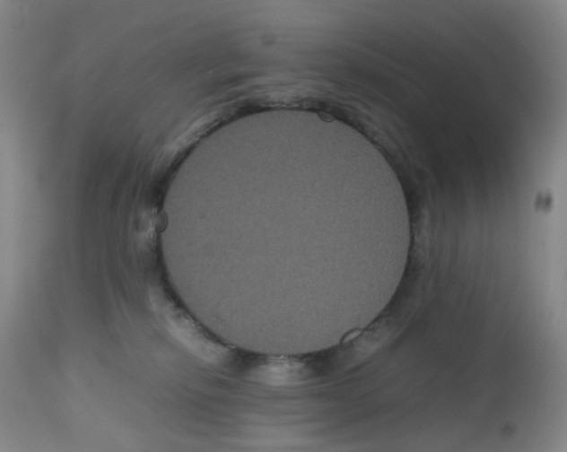 X0000112530278200909141254