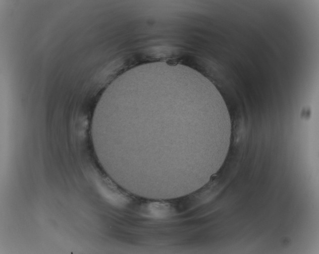 X0000112530279200909141254