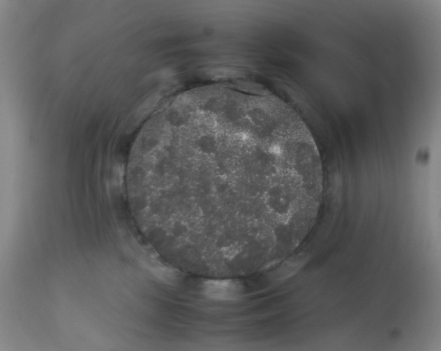 X0000112530281200909141254