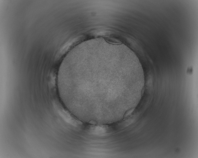 X0000112530282200909141254