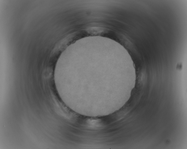 X0000112530283200909141254