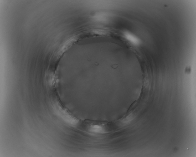 X0000112530285200909141254