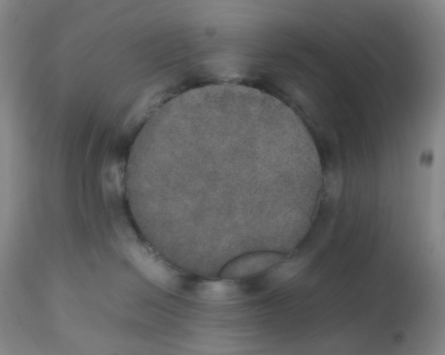 X0000112530286200909141254