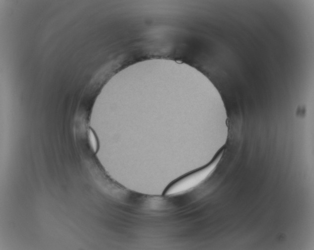 X0000112530287200909141254