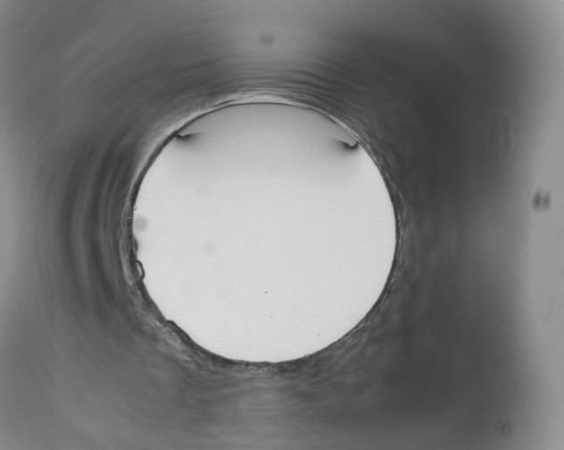 X0000112530289200909141254