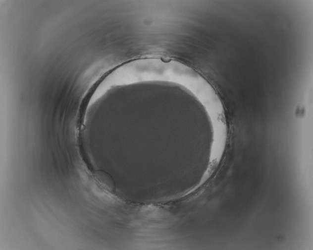 X0000112530290200909141254